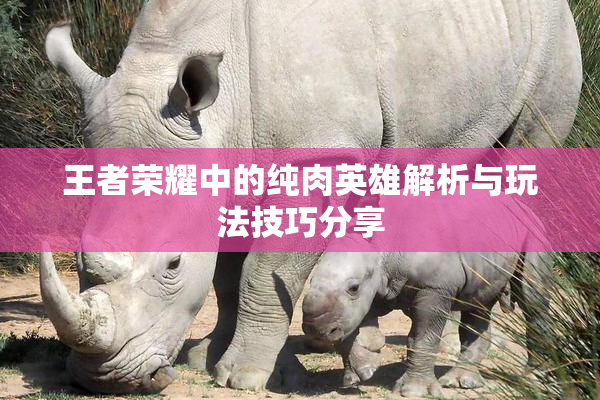 王者荣耀中的纯肉英雄解析与玩法技巧分享