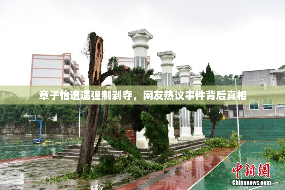 章子怡遭遇强制剥夺，网友热议事件背后真相