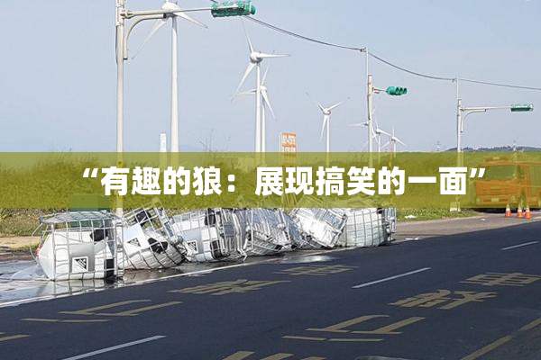 “有趣的狼：展现搞笑的一面”