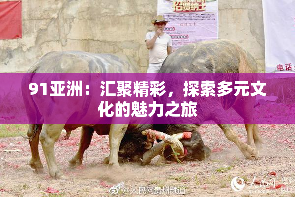 91亚洲：汇聚精彩，探索多元文化的魅力之旅