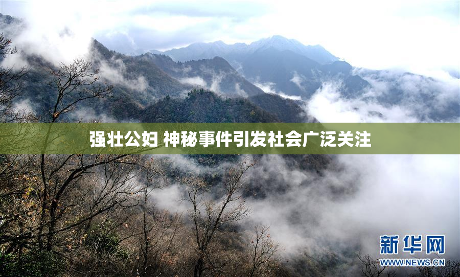 强壮公妇 神秘事件引发社会广泛关注