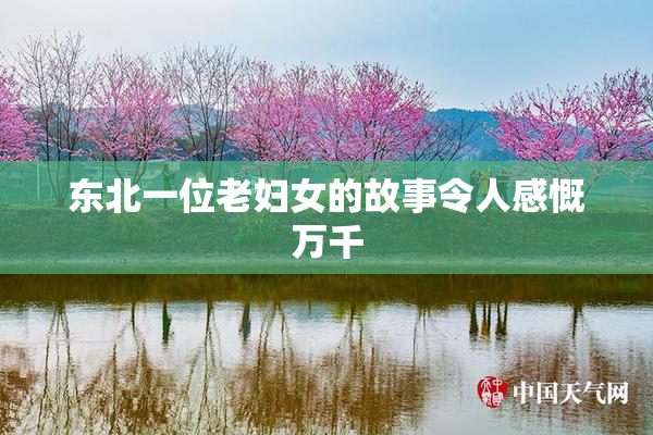 东北一位老妇女的故事令人感慨万千
