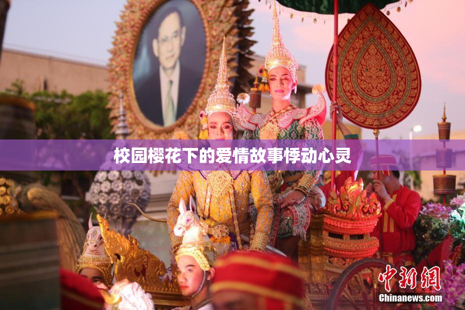 校园樱花下的爱情故事悸动心灵