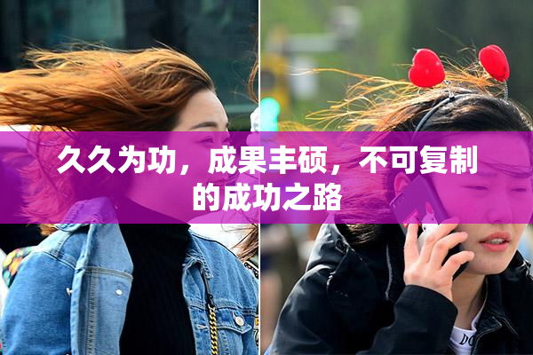 久久为功，成果丰硕，不可复制的成功之路