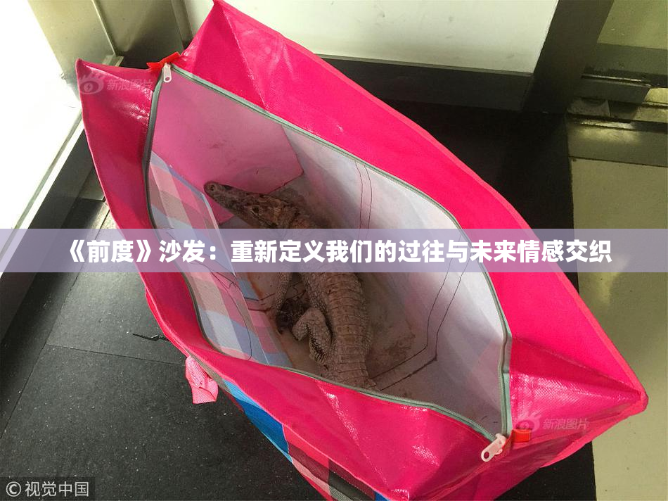 《前度》沙发：重新定义我们的过往与未来情感交织