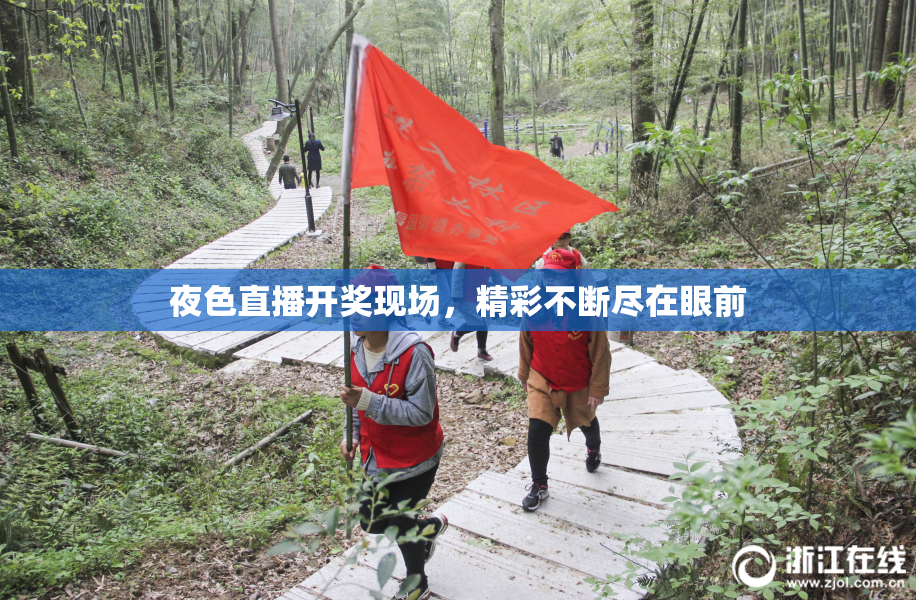 夜色直播开奖现场，精彩不断尽在眼前