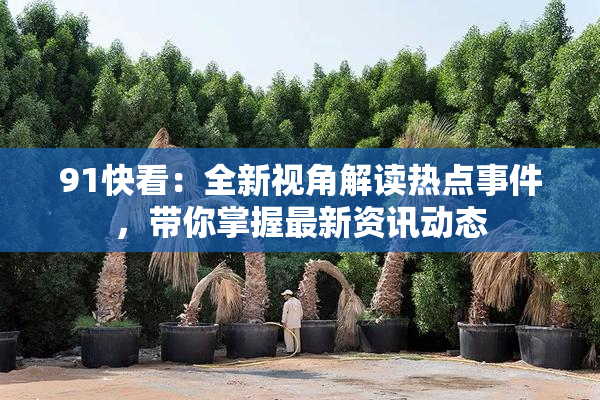 91快看：全新视角解读热点事件，带你掌握最新资讯动态