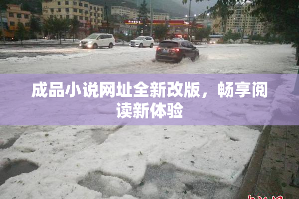 成品小说网址全新改版，畅享阅读新体验