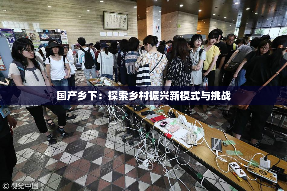国产乡下：探索乡村振兴新模式与挑战