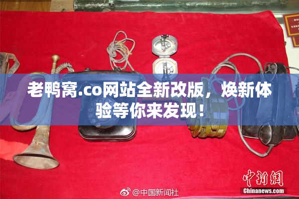 老鸭窝.co网站全新改版，焕新体验等你来发现！