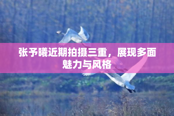 张予曦近期拍摄三重，展现多面魅力与风格