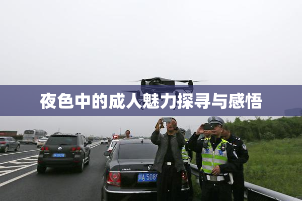 夜色中的成人魅力探寻与感悟