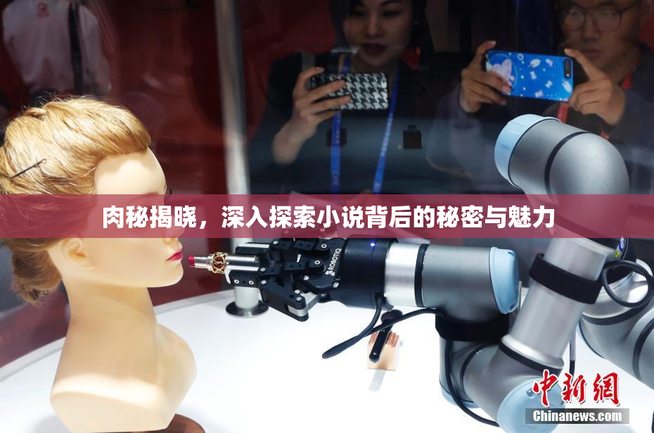 肉秘揭晓，深入探索小说背后的秘密与魅力