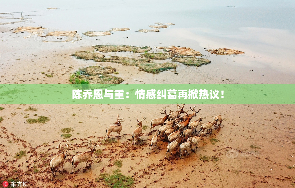 陈乔恩与重：情感纠葛再掀热议！