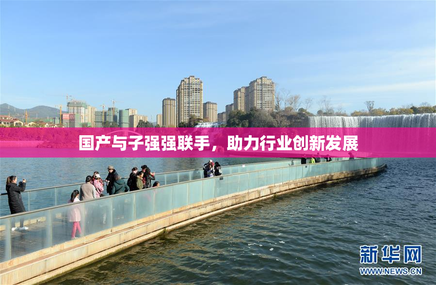 国产与子强强联手，助力行业创新发展