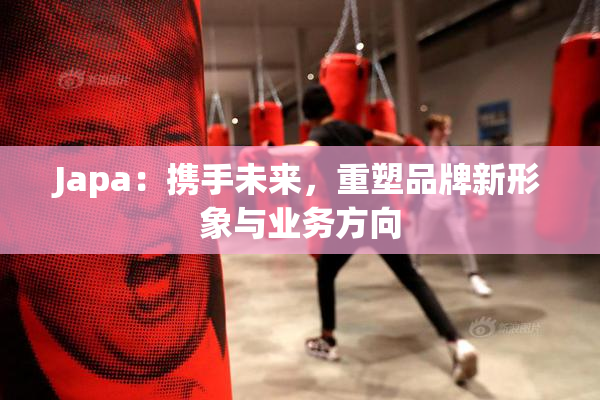 Japa：携手未来，重塑品牌新形象与业务方向
