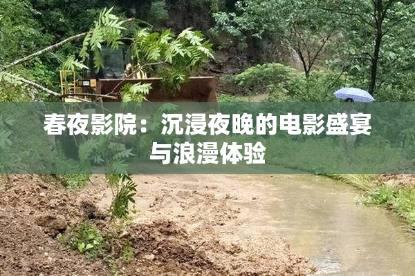 春夜影院：沉浸夜晚的电影盛宴与浪漫体验