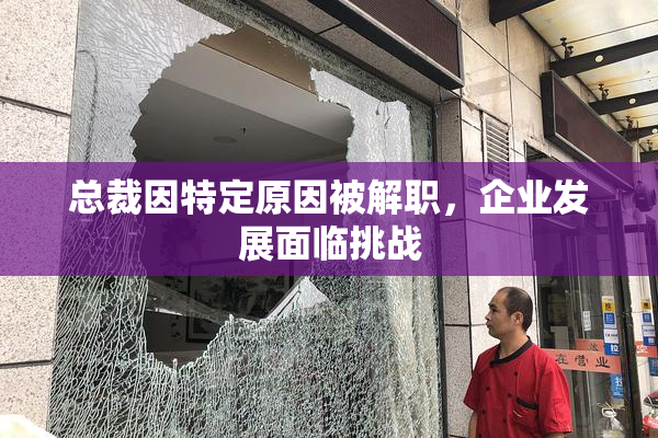 总裁因特定原因被解职，企业发展面临挑战