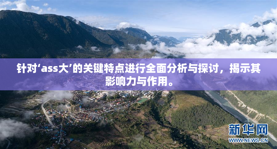 针对‘ass大’的关键特点进行全面分析与探讨，揭示其影响力与作用。