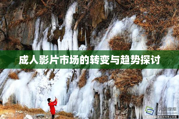 成人影片市场的转变与趋势探讨