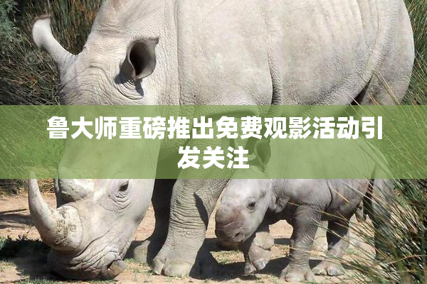 鲁大师重磅推出免费观影活动引发关注
