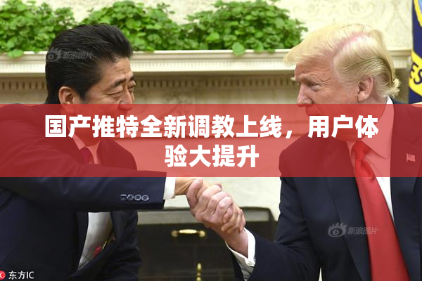 国产推特全新调教上线，用户体验大提升