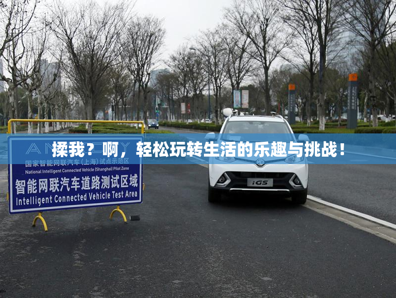 揉我？啊，轻松玩转生活的乐趣与挑战！