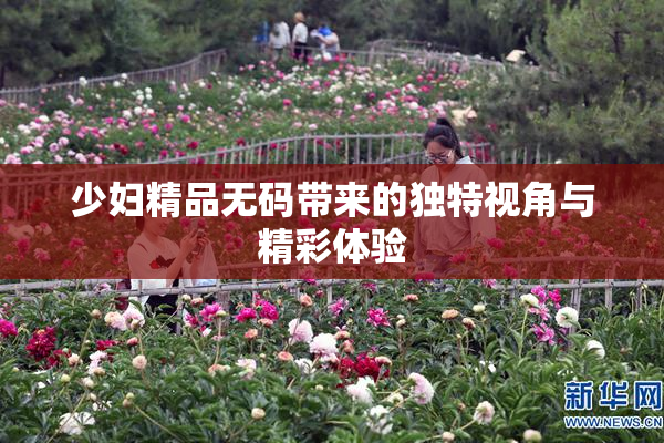 少妇精品无码带来的独特视角与精彩体验