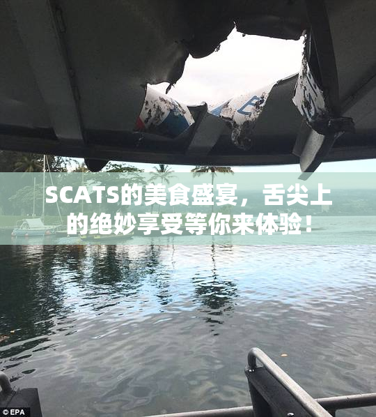 SCATS的美食盛宴，舌尖上的绝妙享受等你来体验！