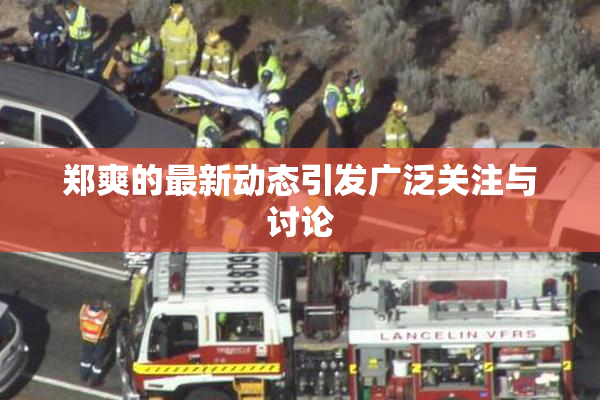 郑爽的最新动态引发广泛关注与讨论