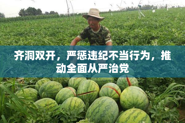 齐洞双开，严惩违纪不当行为，推动全面从严治党
