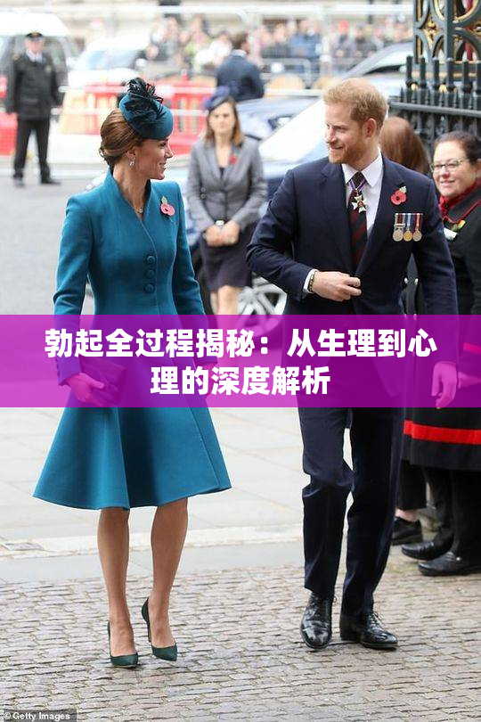 勃起全过程揭秘：从生理到心理的深度解析