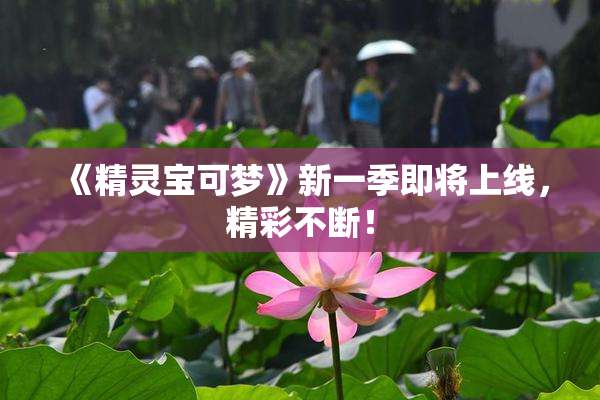 《精灵宝可梦》新一季即将上线，精彩不断！