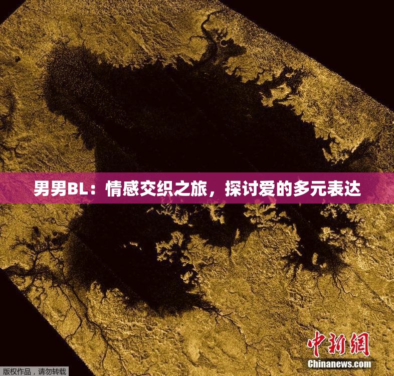 男男BL：情感交织之旅，探讨爱的多元表达