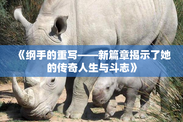 《纲手的重写——新篇章揭示了她的传奇人生与斗志》