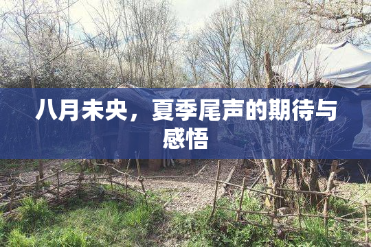 八月未央，夏季尾声的期待与感悟