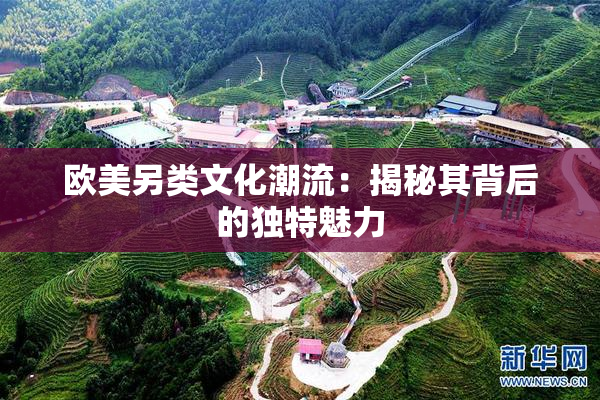 欧美另类文化潮流：揭秘其背后的独特魅力