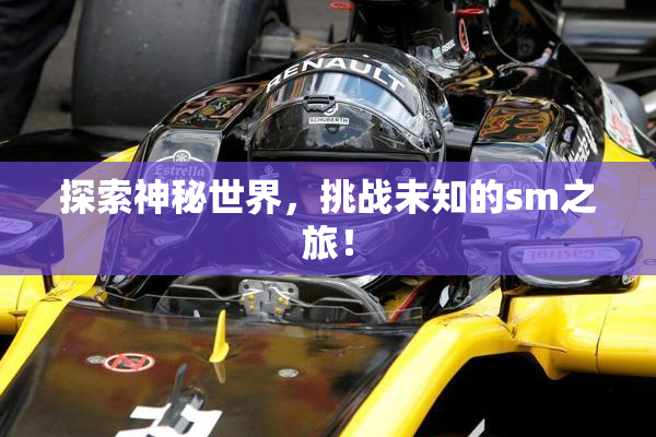 探索神秘世界，挑战未知的sm之旅！