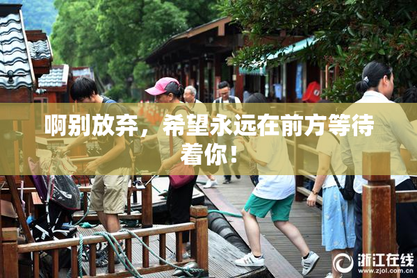 啊别放弃，希望永远在前方等待着你！