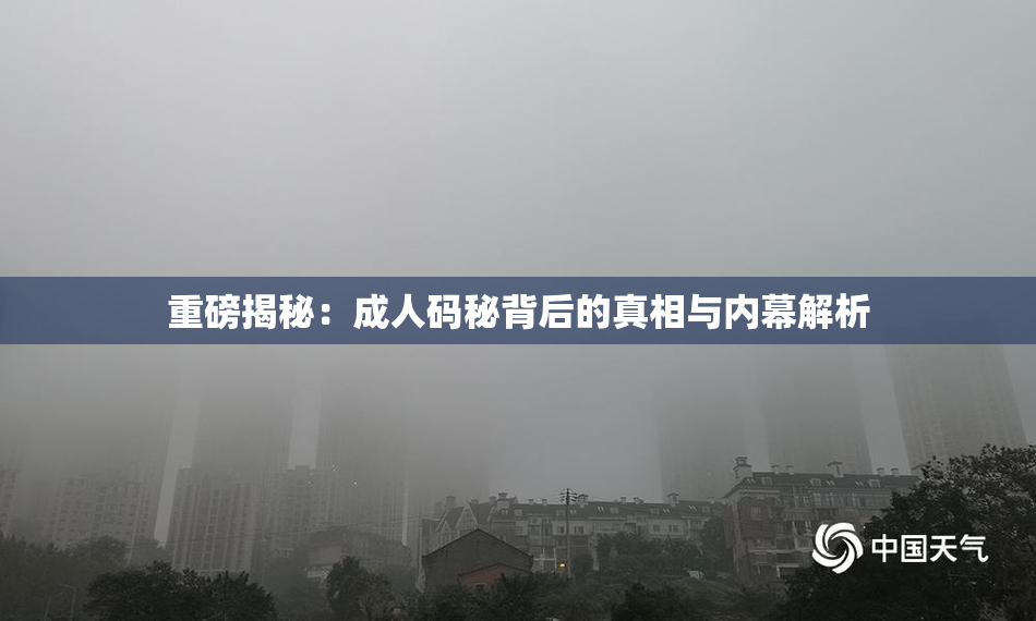 重磅揭秘：成人码秘背后的真相与内幕解析