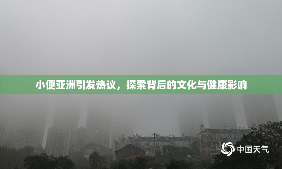 小便亚洲引发热议，探索背后的文化与健康影响
