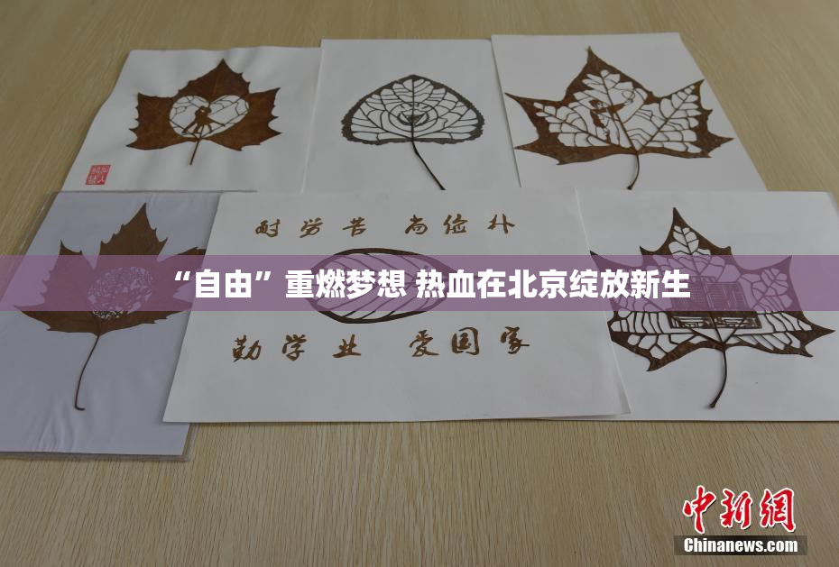 “自由”重燃梦想 热血在北京绽放新生