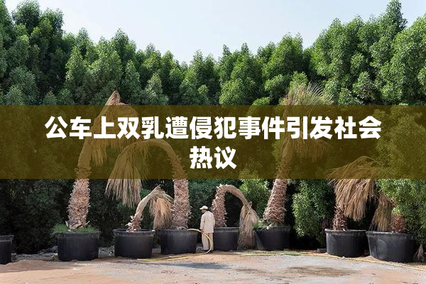 公车上双乳遭侵犯事件引发社会热议
