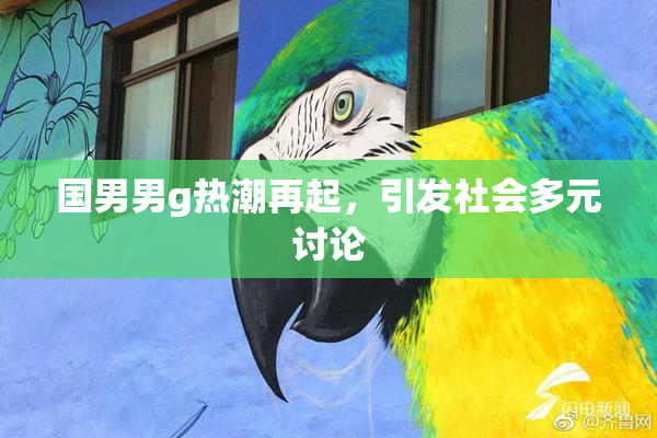 国男男g热潮再起，引发社会多元讨论