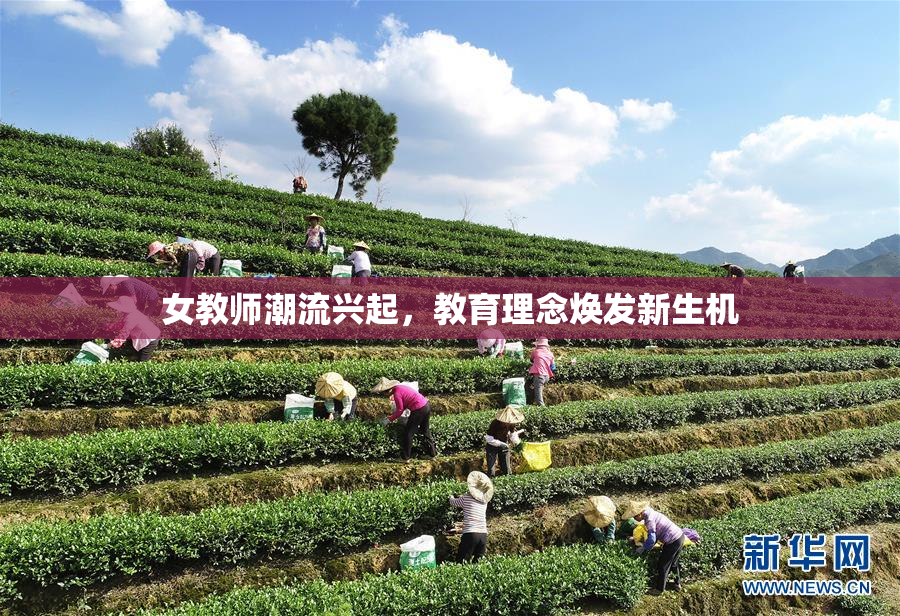 女教师潮流兴起，教育理念焕发新生机