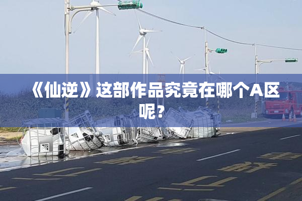 《仙逆》这部作品究竟在哪个A区呢？