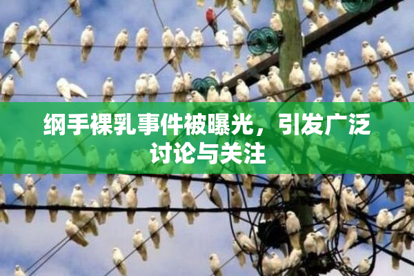 纲手裸乳事件被曝光，引发广泛讨论与关注