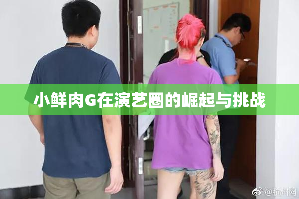 小鲜肉G在演艺圈的崛起与挑战