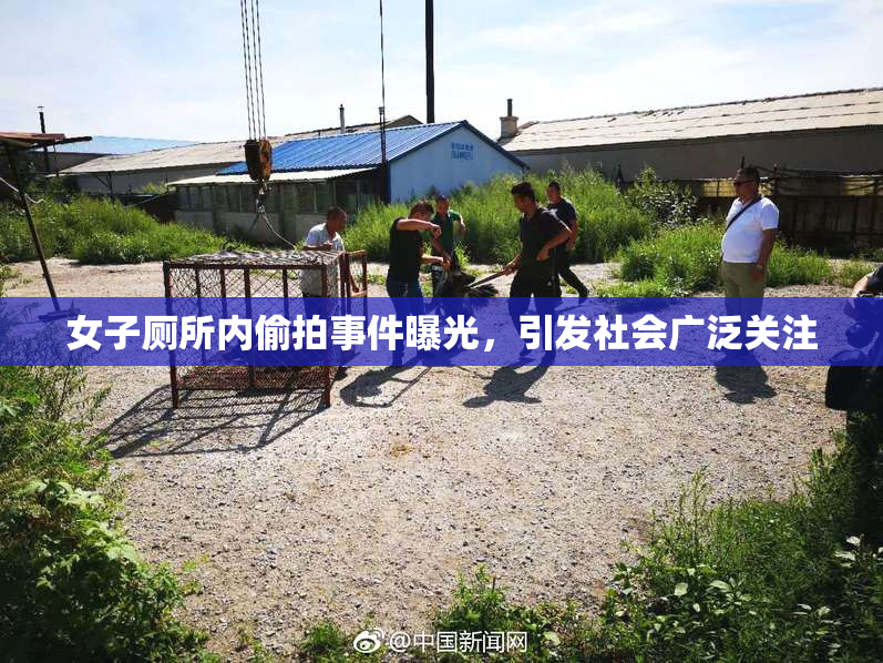 女子厕所内偷拍事件曝光，引发社会广泛关注