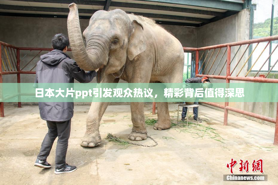 日本大片ppt引发观众热议，精彩背后值得深思